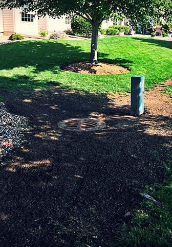 Grading (Small) Grading around a sewer grate in a front lawn to improve drainage.