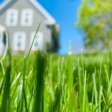 lawn-care-guide Raleigh lawn care