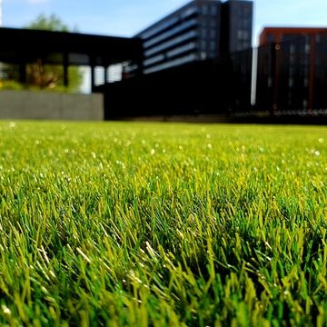 spring-lawn-care residential lawn care