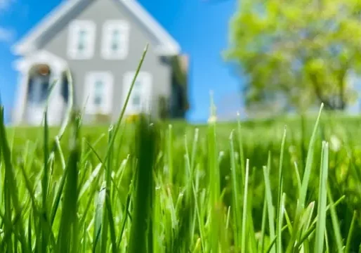 wake-forest-aeration-service Wake Forest Lawn Aeration